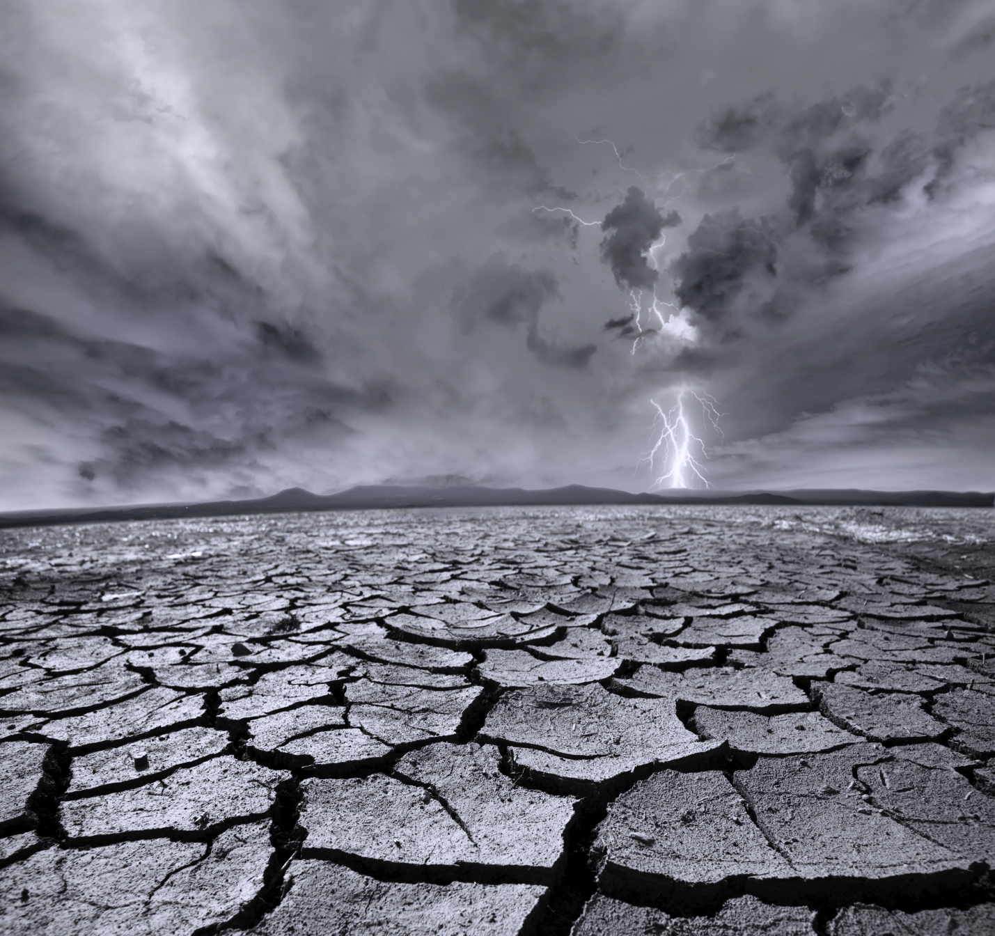 Wasteland from istock.com